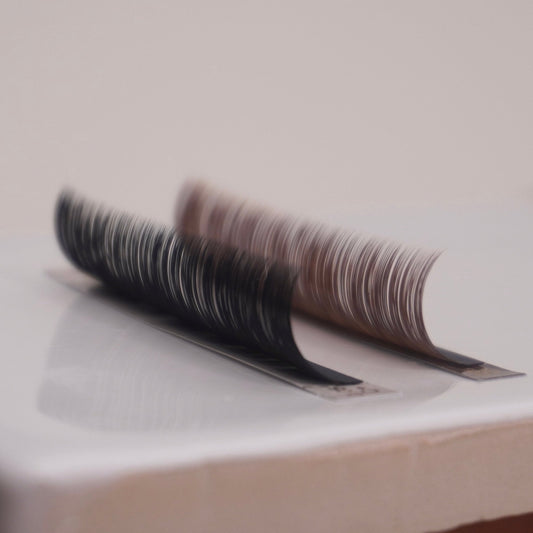 The Brown Collection - Lash Culture