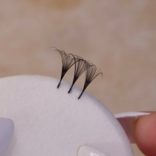 The Volume Collection - Lash Culture