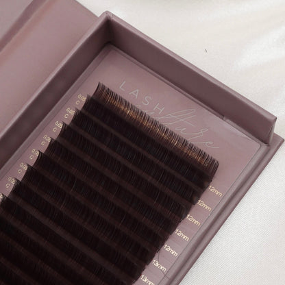 The Brown Collection - Lash Culture